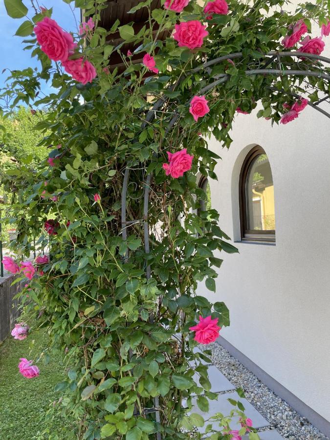 לונגוץ Appartement Erlbacher מראה חיצוני תמונה